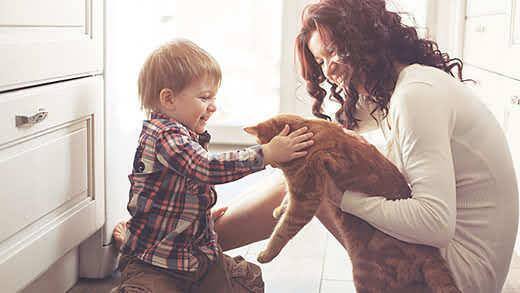 Uma mãe apresenta um gato cor-de-laranja a um rapazinho