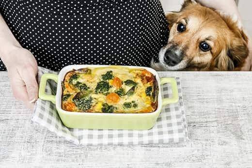 Cão sentado ao lado de uma mulher vestida de preto com bolinhas brancas atrás de uma travessa de comida.
