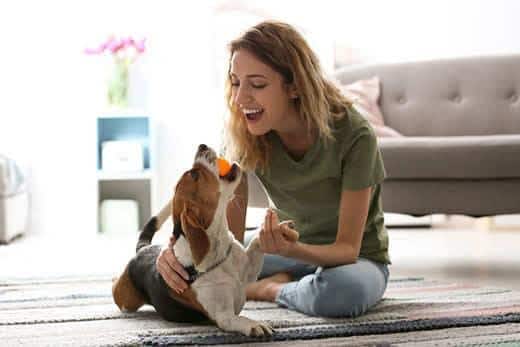 Jovem mulher a brincar com o seu cão