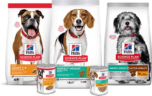 Alimentos para cães para o controlo de peso