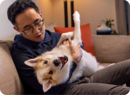 happy dog getting attention on sofa with owner