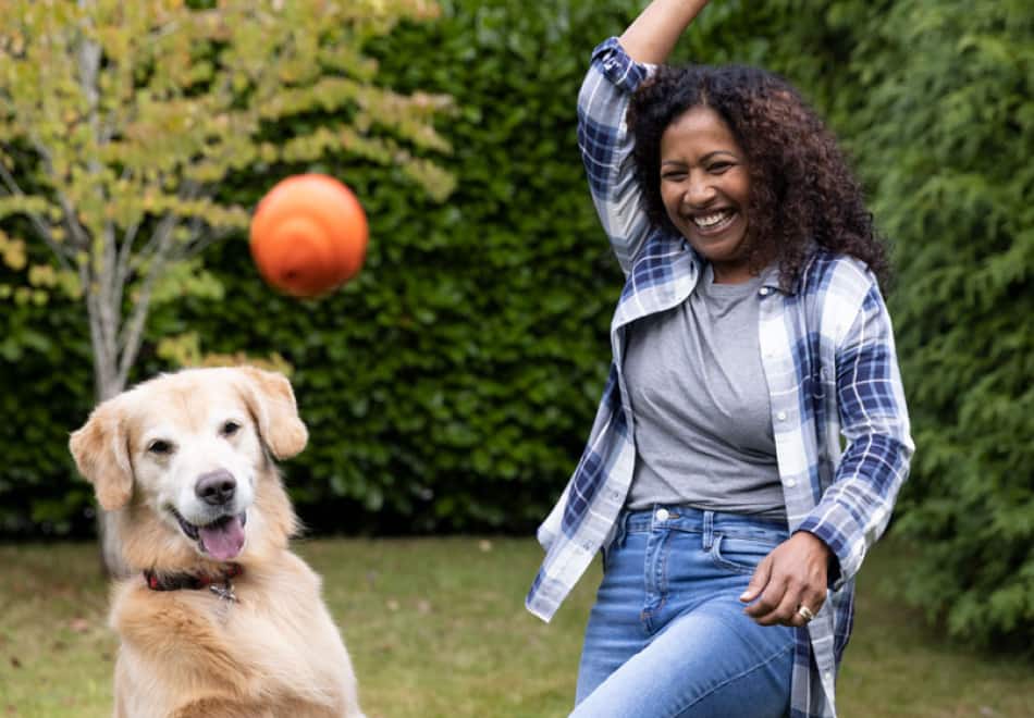 Cão a brincar ao "busca"