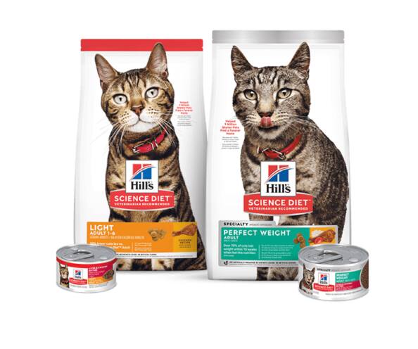 Alimento para gato Science Plan Light e Perfect Weight