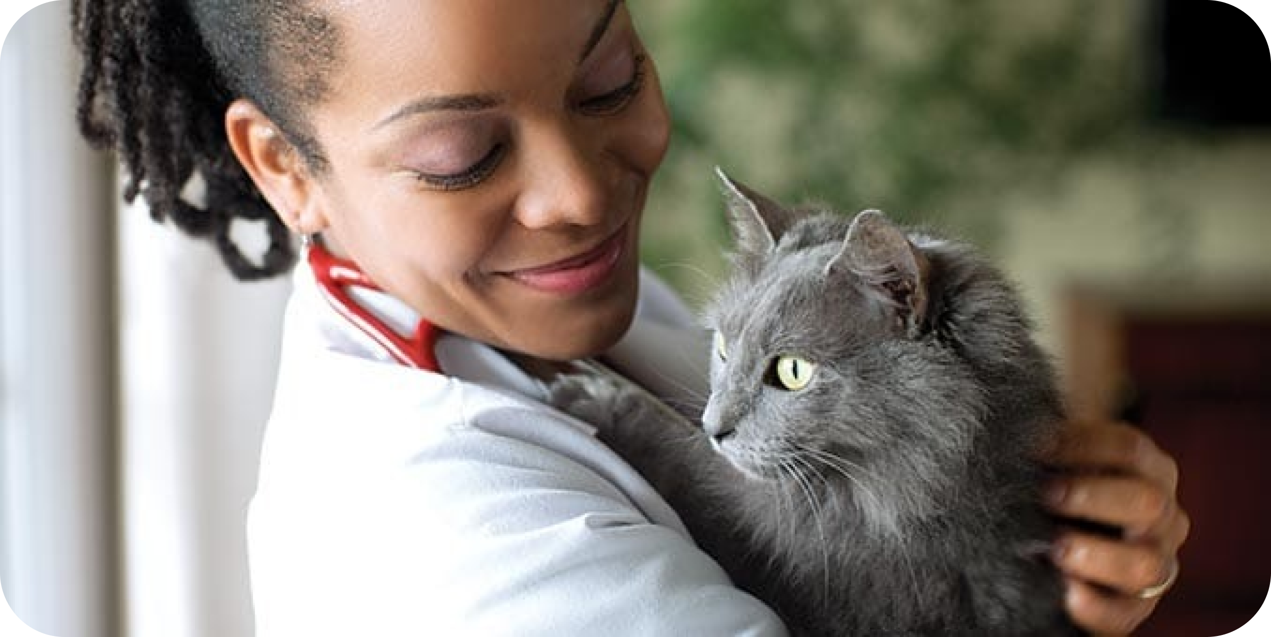  Veterinário com um gato cinzento