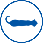 Ícone de gato saudável